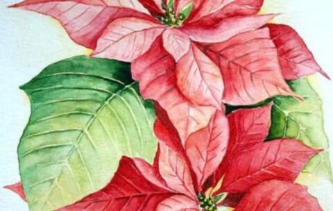 Screenshot_20251021_164634_Gallery