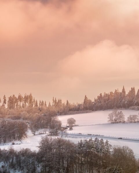 Watercolour Course - 4 weeks Tuesday Live online Zoom 7.00-8.00 pm (GMT)