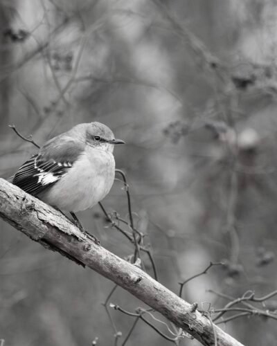 42C420B6-FAA2-4BDD-B189-FC9DC2B065E0_1_201_a