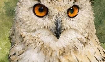 ChatGPT Image Feb 14, 2026, 01_22_29 PM