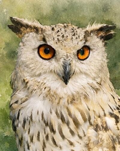 ChatGPT Image Feb 14, 2026, 01_22_29 PM