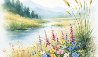 9E1C10FC-E8C3-4D9B-BE4D-4C679CDE9BD8