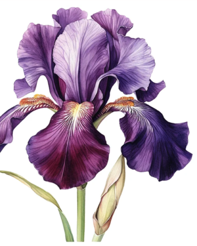 47CB3247-3B15-4FCB-8B66-B13BBDC22F92