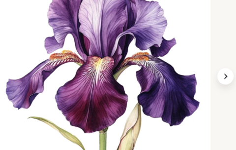 47CB3247-3B15-4FCB-8B66-B13BBDC22F92