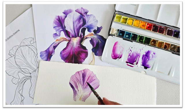 Botanicals