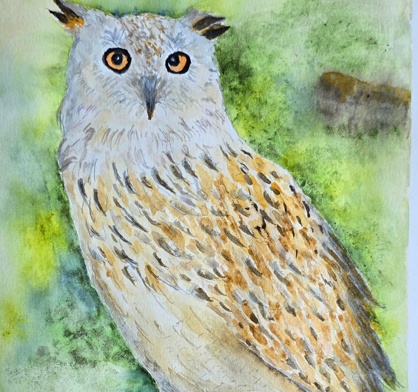 Watercolour Owl By Liz H