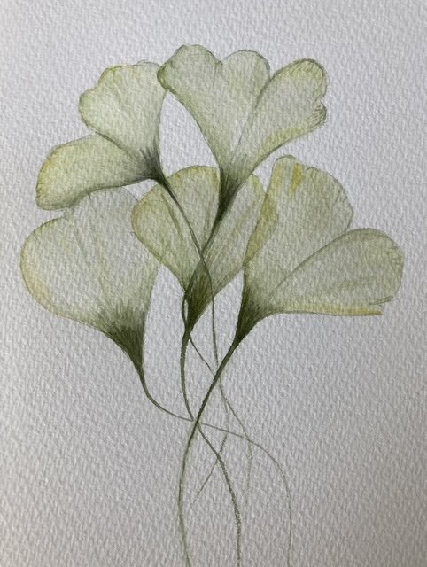 Watercolour Ginko By Carole P