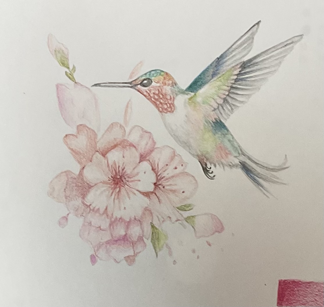 Watercolour Humming Bird - By Carole