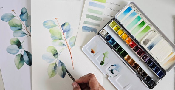 Eucalyptus
