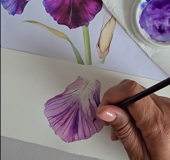 6. Finishing Touches