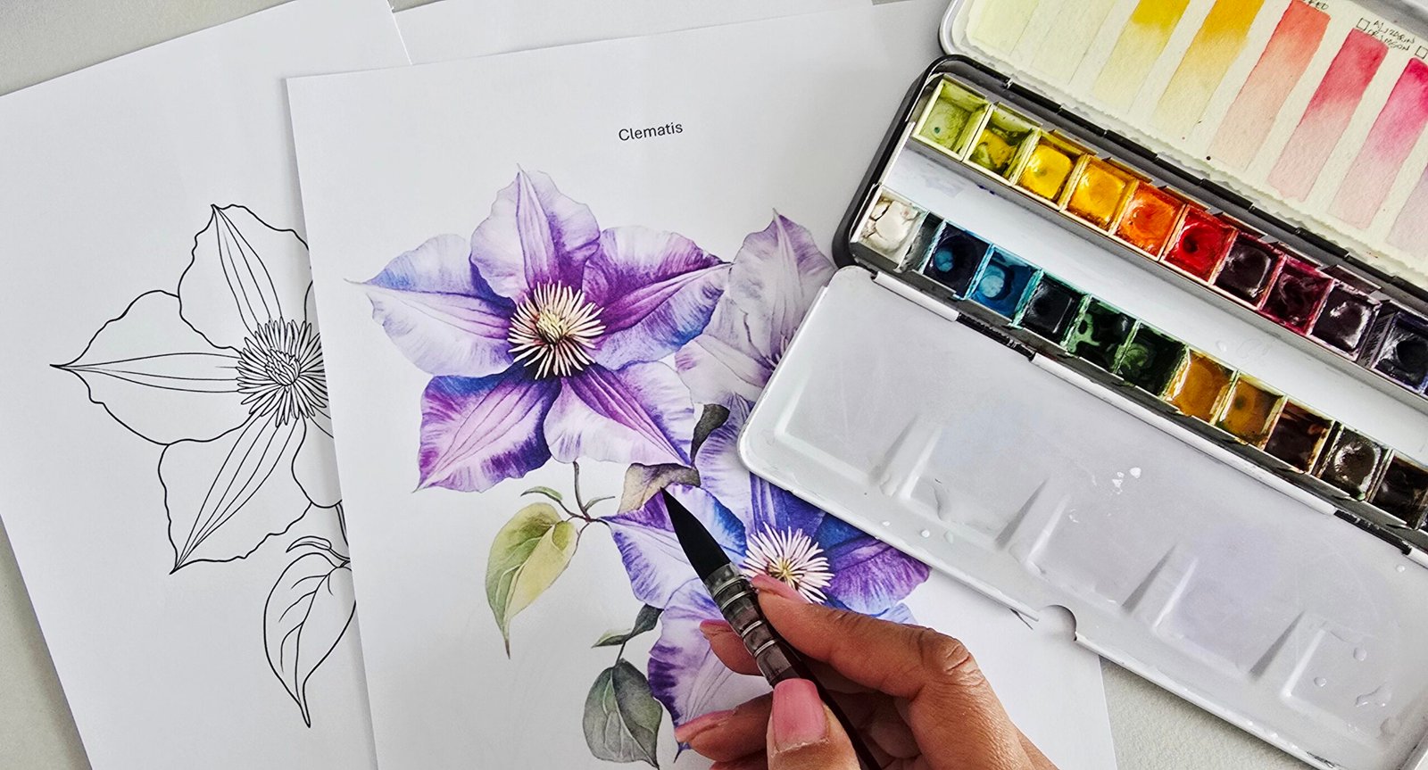 Clematis - July